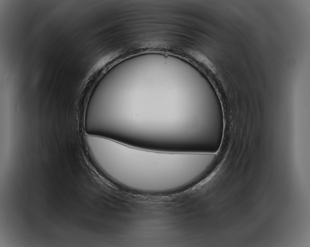 X0000086940922200704161032