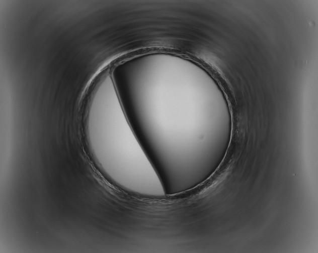 X0000086940923200704161032