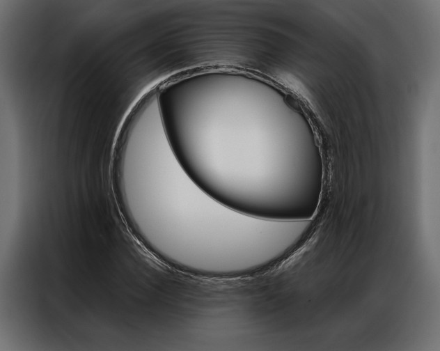 X0000086940924200704161032