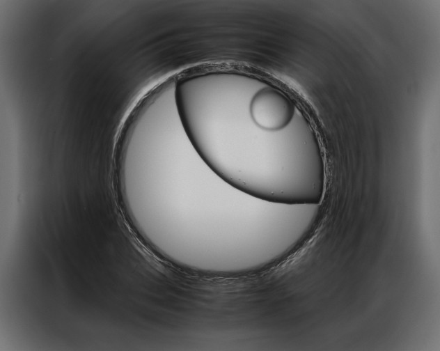 X0000086940927200704161032