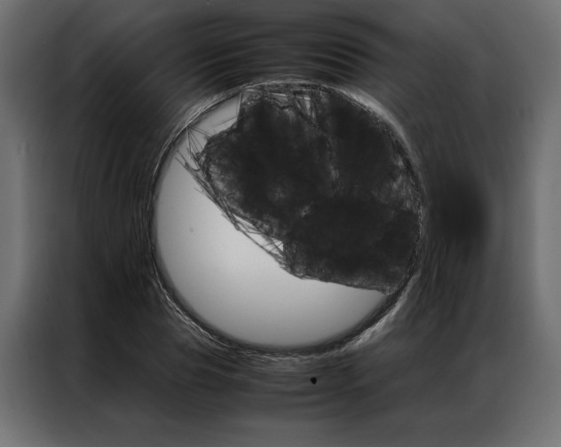 X0000086940929200704161032