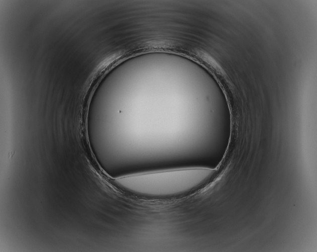 X0000086940930200704161032