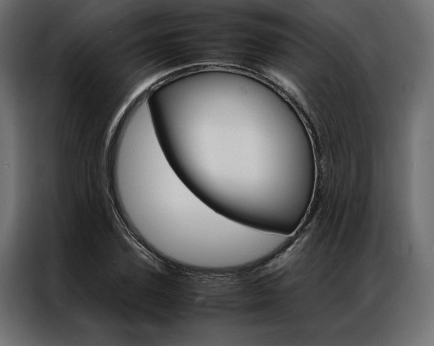 X0000086940931200704161032