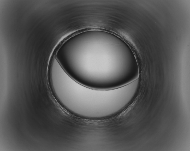 X0000086940932200704161032
