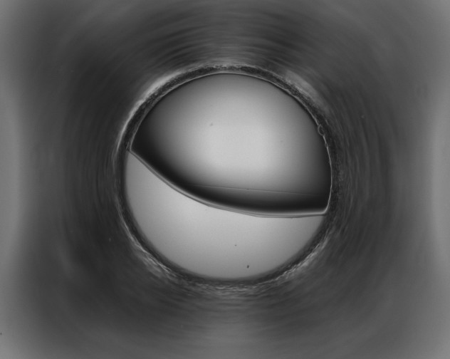 X0000086940934200704161032