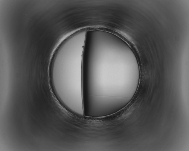 X0000086940935200704161032