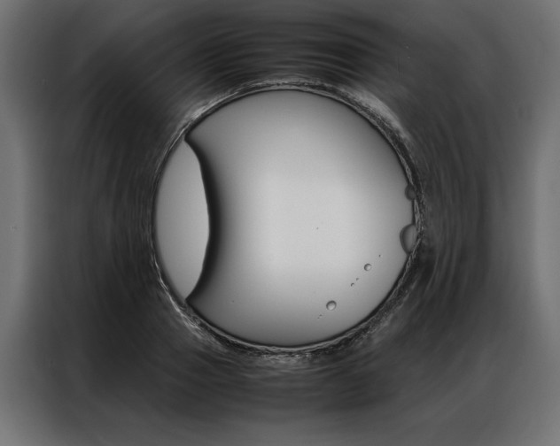 X0000086940937200704161032
