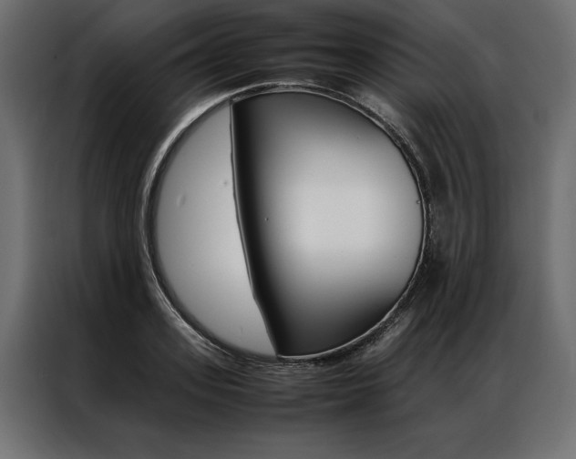 X0000086940939200704161032