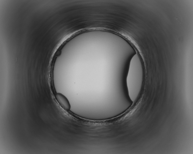 X0000086940941200704161032