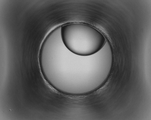 X0000086940942200704161032