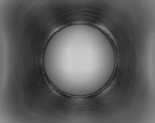 X0000086940945200704161032