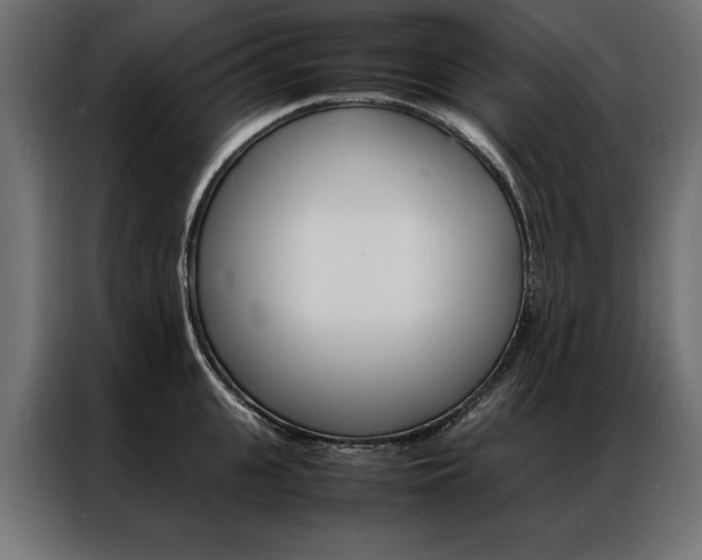 X0000086940951200704161032