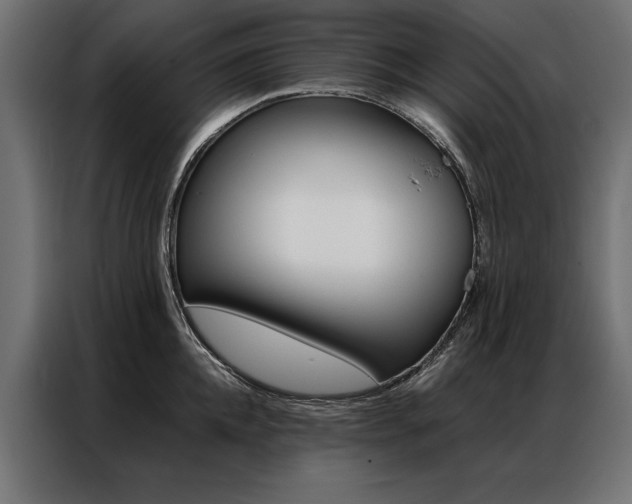 X0000086940952200704161032