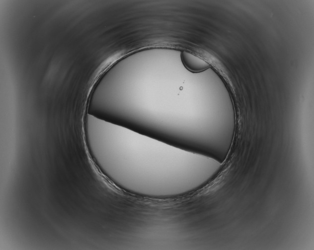 X0000086940954200704161032