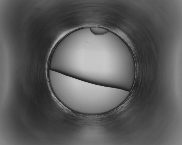 X0000086940958200704161032