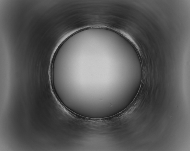 X0000086940959200704161032