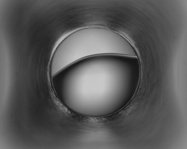 X0000086940960200704161032