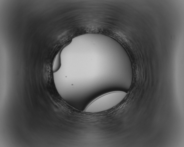 X0000086940964200704161031