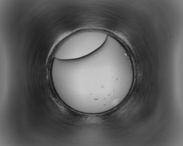 X0000086940974200704161031