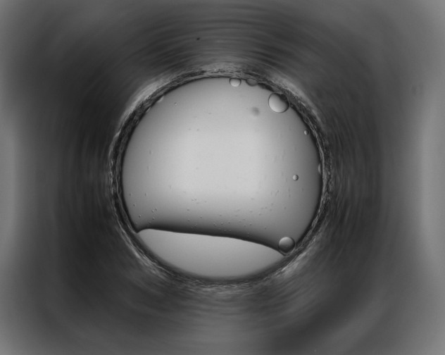 X0000086940978200704161031