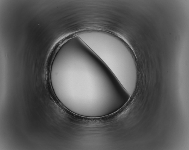 X0000086940979200704161031