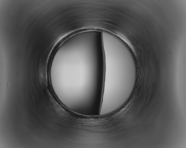 X0000086940980200704161031