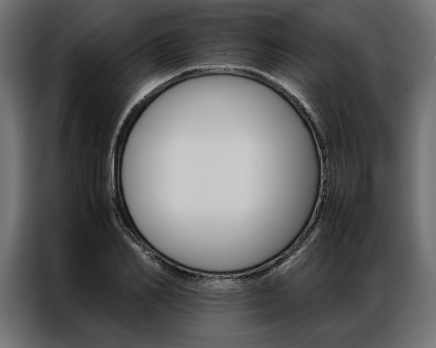 X0000086940982200704161031