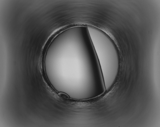 X0000086940984200704161031
