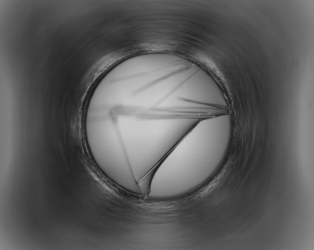X0000086940986200704161031