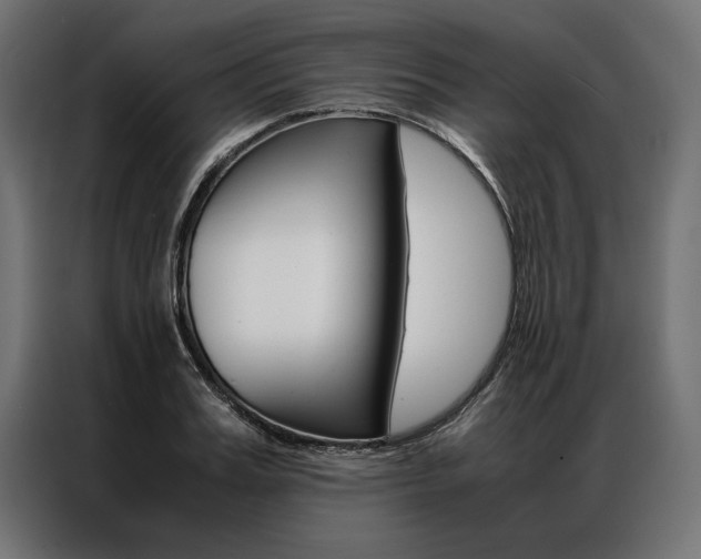 X0000086940987200704161031