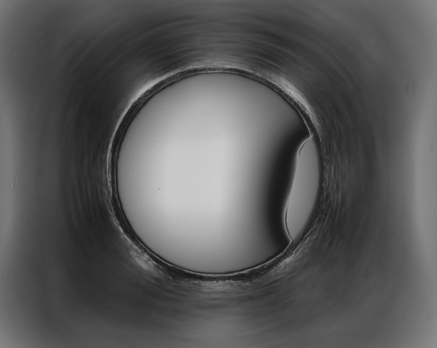 X0000086940988200704161031