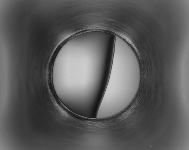 X0000086940991200704161031