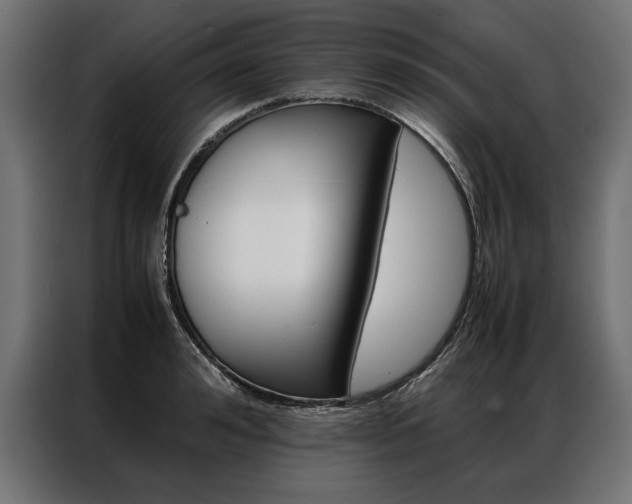 X0000086940992200704161031
