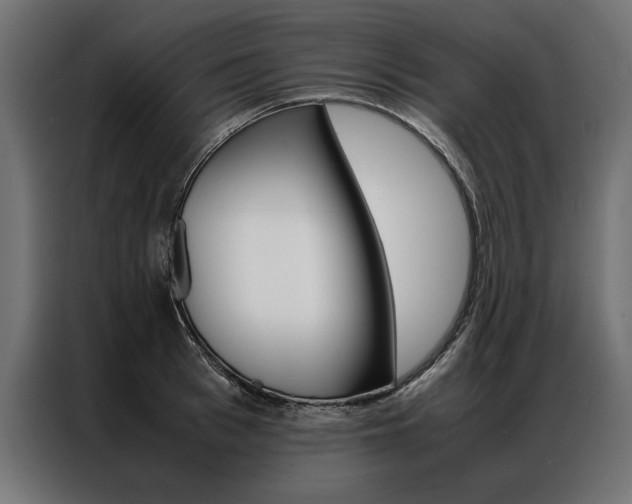 X0000086940993200704161031