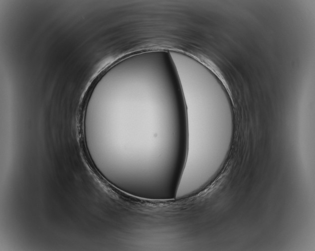 X0000086940997200704161031