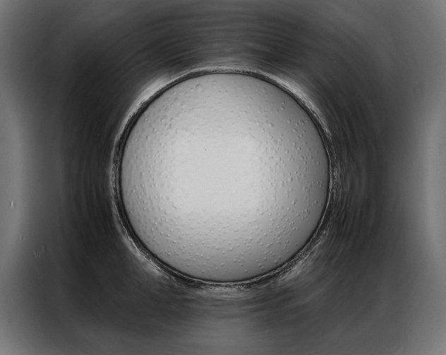 X0000086940998200704161031
