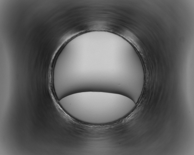 X0000086941000200704161031