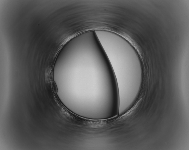 X0000086941001200704161031