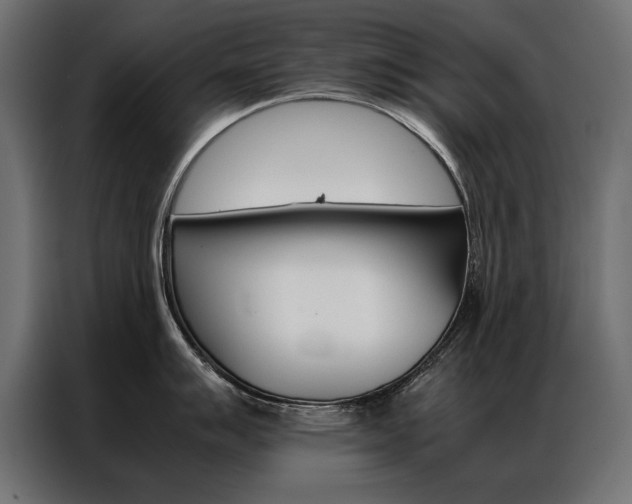 X0000086941007200704161031