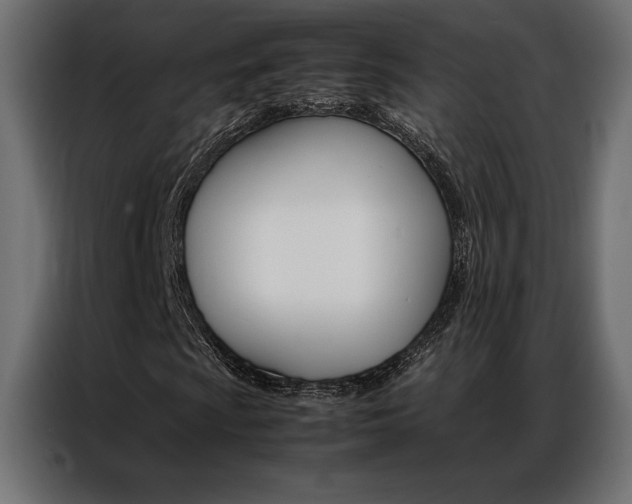 X0000086941009200704161030