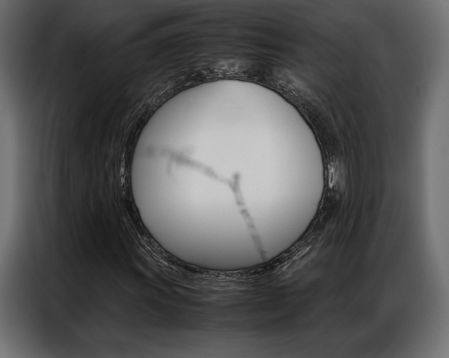 X0000086941011200704161030
