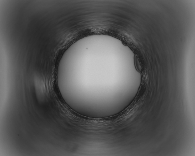 X0000086941012200704161030