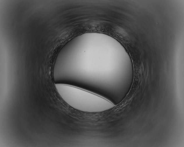 X0000086941013200704161030