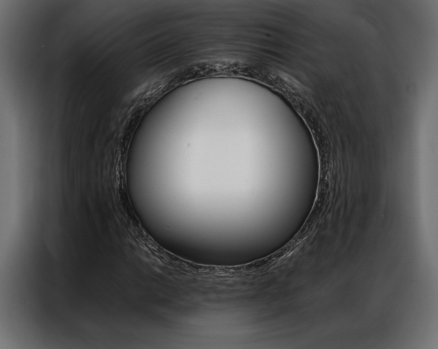 X0000086941014200704161030