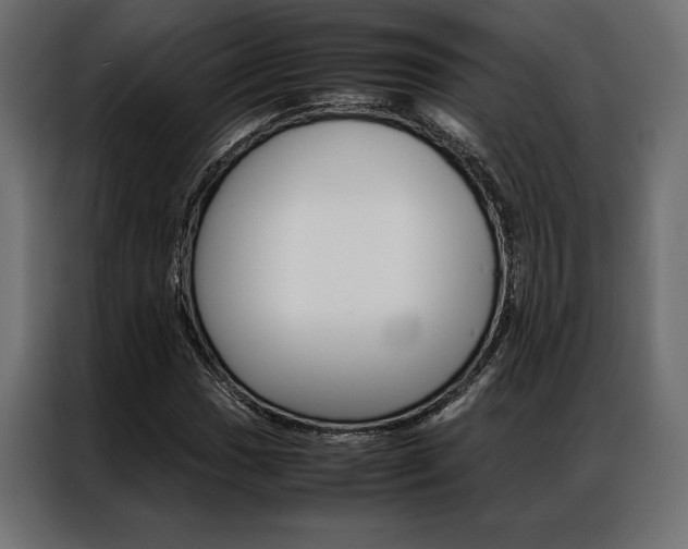 X0000086941017200704161030