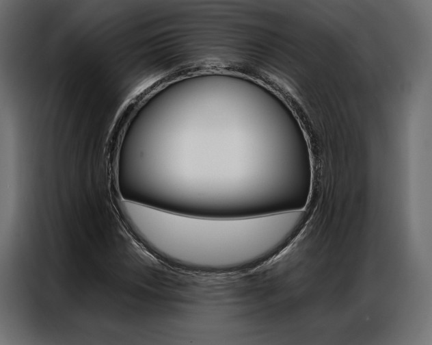 X0000086941018200704161030