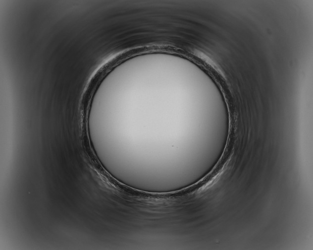 X0000086941021200704161030