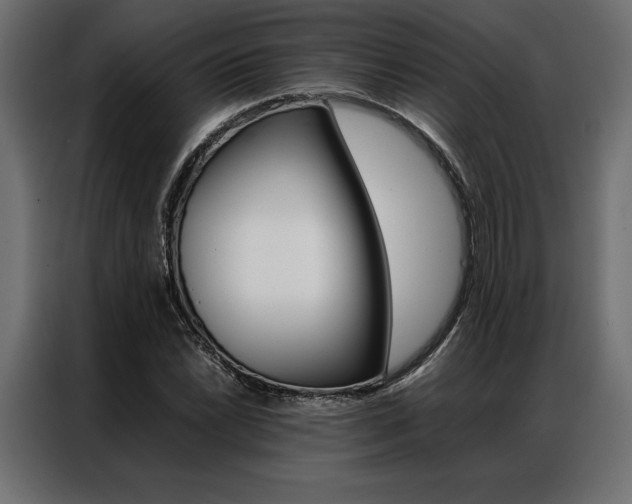 X0000086941022200704161030