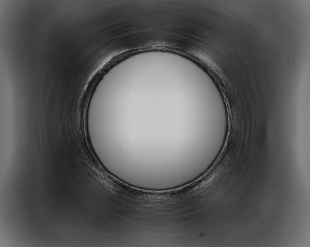 X0000086941023200704161030