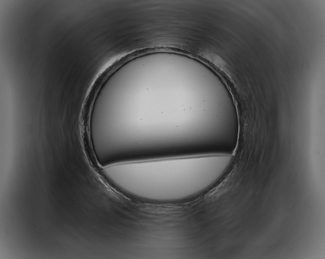 X0000086941024200704161030
